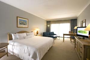 Deluxe double with sea view, king bed, and private facilities